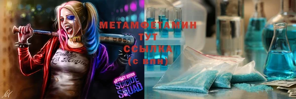 прущие грибы Михайловск