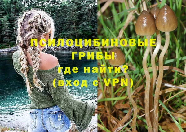 гашишное масло Михайлов